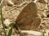 0505153s.jpg