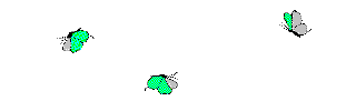 Flyb3.gif - 3.8 K