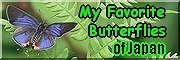 back04g.jpg