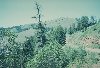 ore73s.jpg - 3.6 K