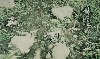 ore81s.jpg - 4.1 K
