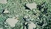 ore82s.jpg - 4.3 K
