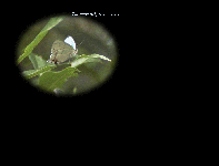 screen02r.gif