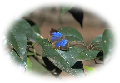 img0047.jpg