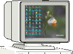 desktop.gif