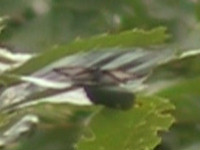 20120629kore2.jpg