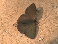 20120629yuas.jpg