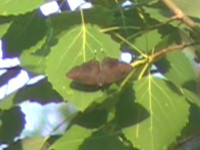 20120701.jpg