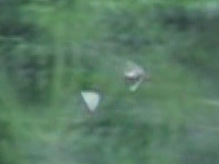 20120701.jpg