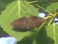 20120701.jpg