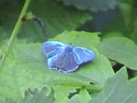 v0507220.jpg
