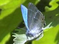 v0507220.jpg