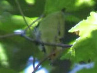 v0507220.jpg