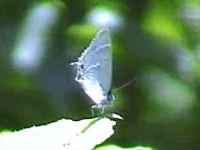 v0507220.jpg