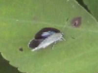 v0507220.jpg