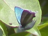 v0606203.jpg