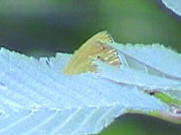 v0606206.jpg