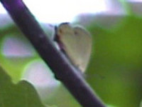 v0606207.jpg